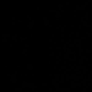 Meet your Posher, Karina